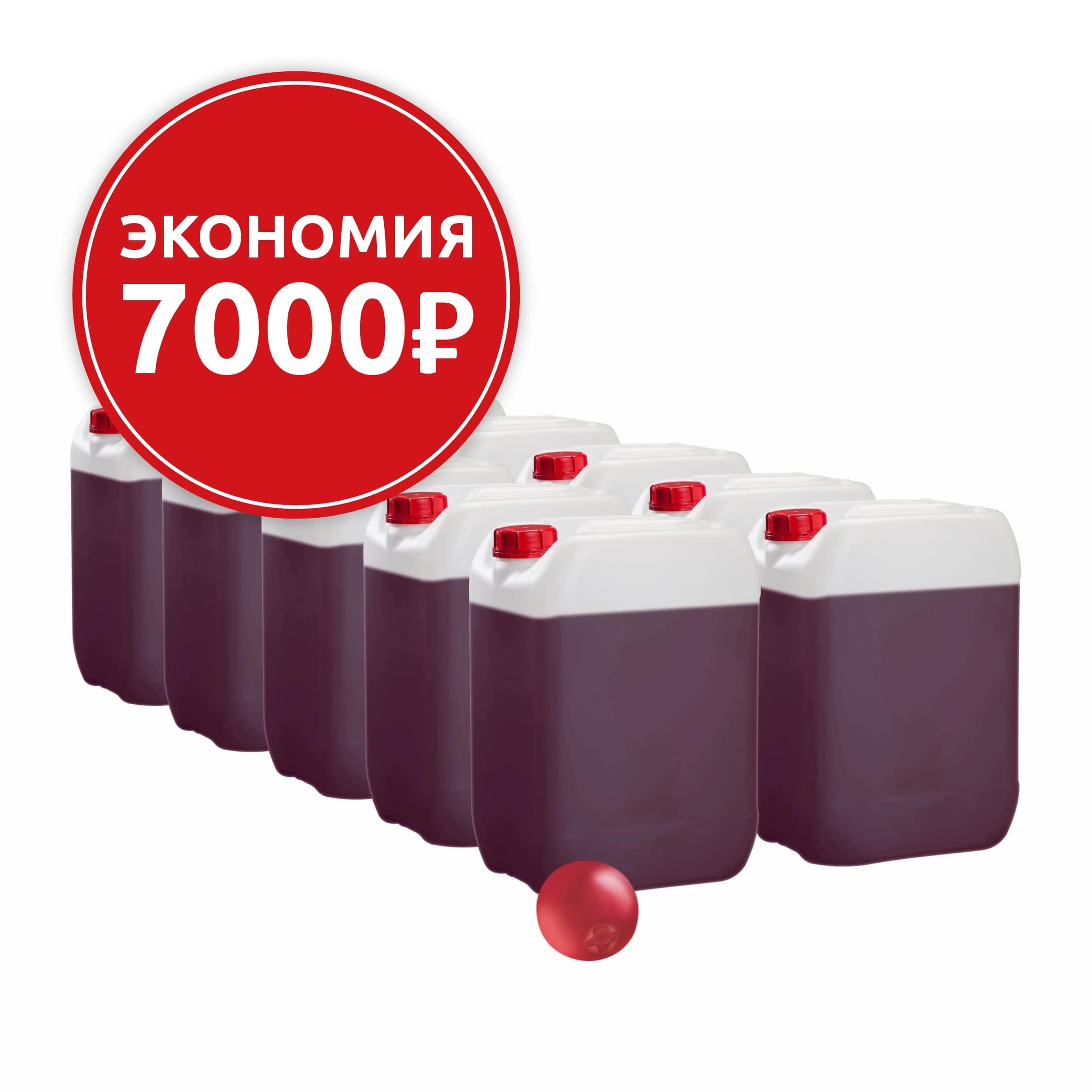 Основа для морсов и сорбетов Брусника, 10 канистр по 6,2 кг