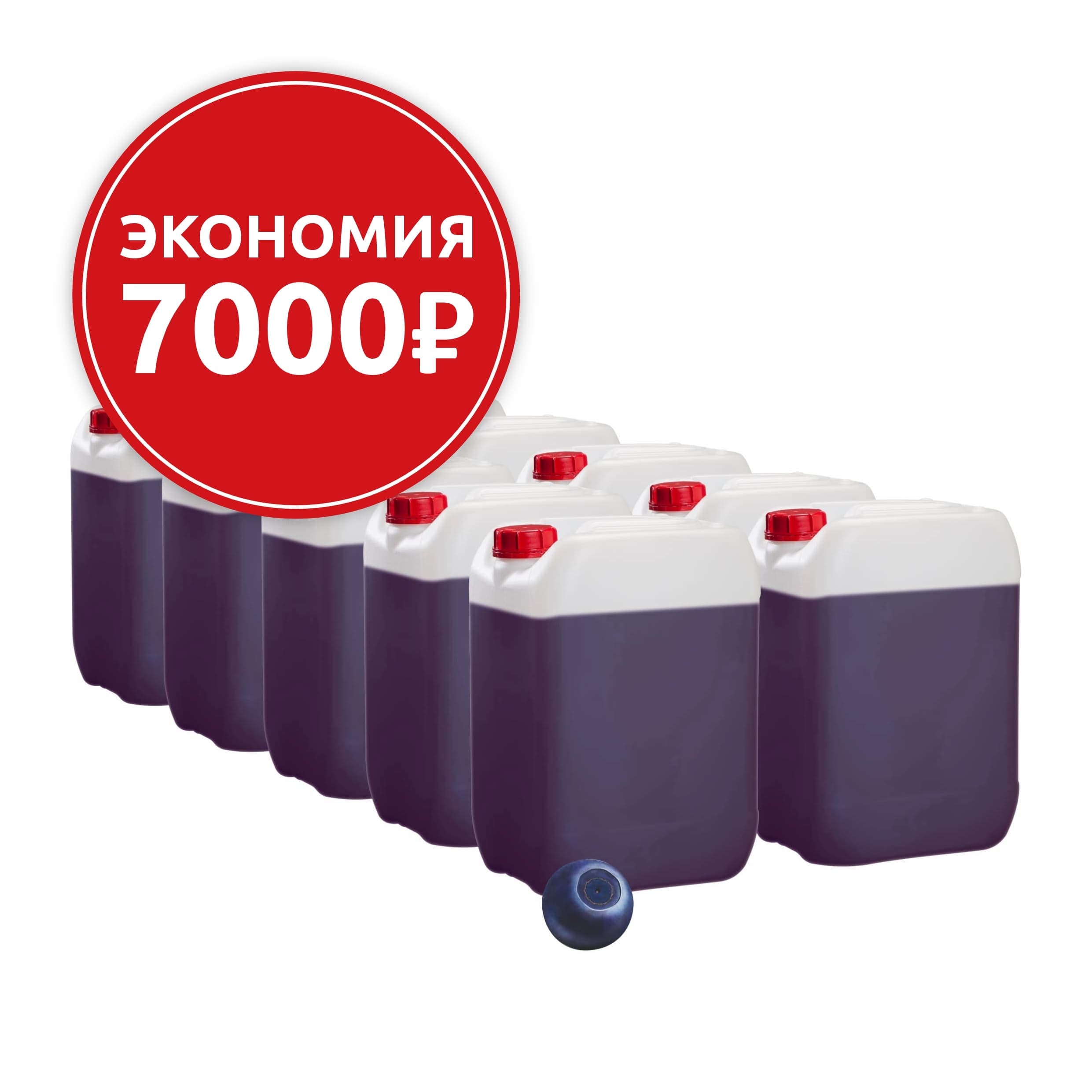 Основа для морсов и сорбетов Черника, 10 канистр по 6,2 кг